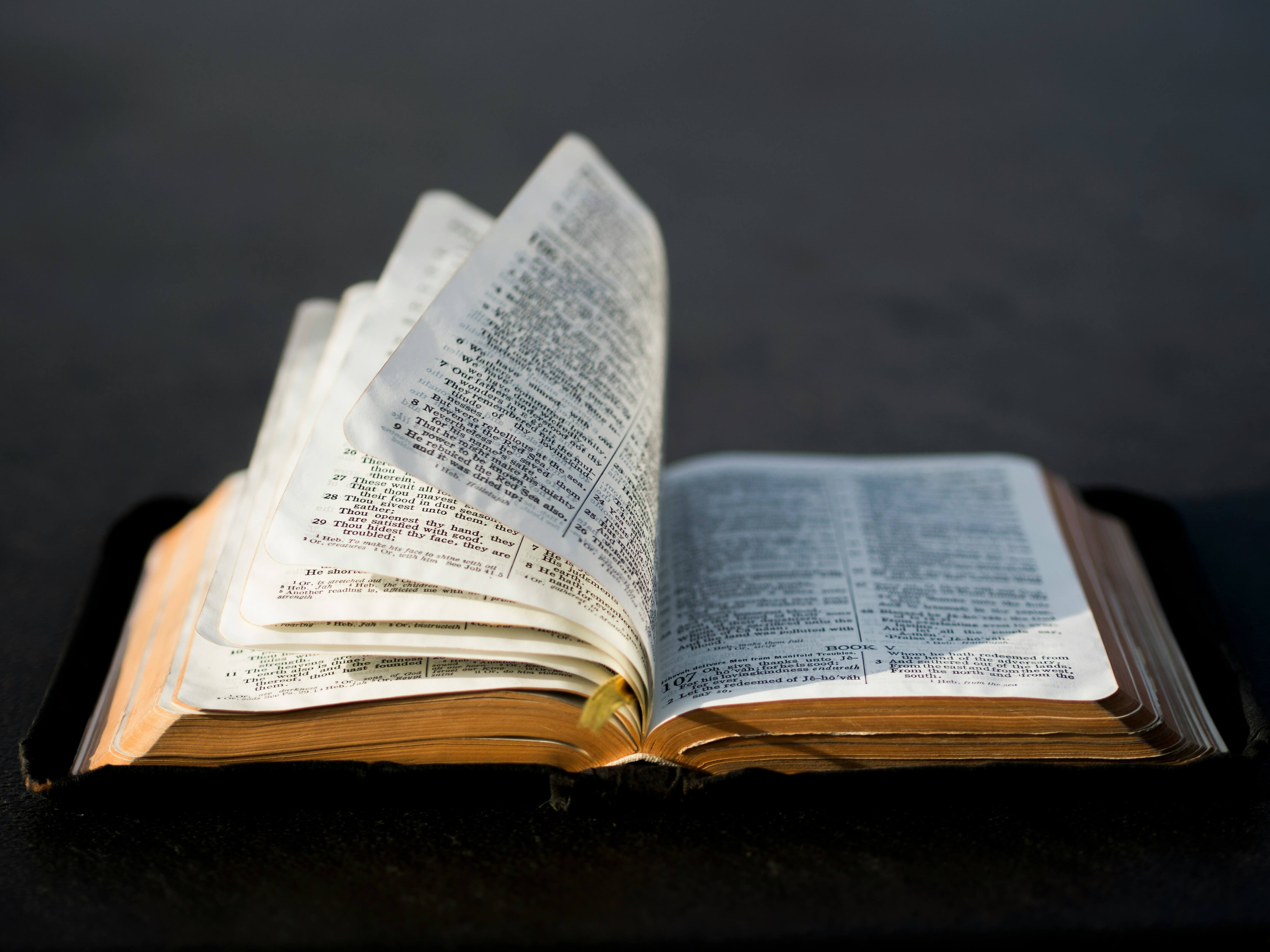 Why Every Believer Must Read God’s Word for Themselves
